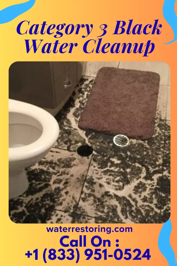 Category 3 Black Water Cleanup in Laurel Springs, NJ