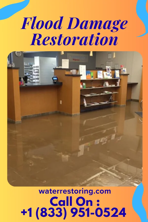 Flood Damage Restoration in Laurel Springs, NJ