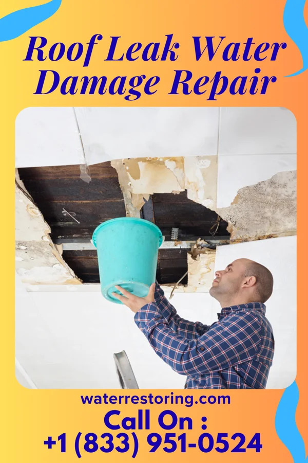 Roof Leak Water Damage Repair in Laurel Springs, NJ