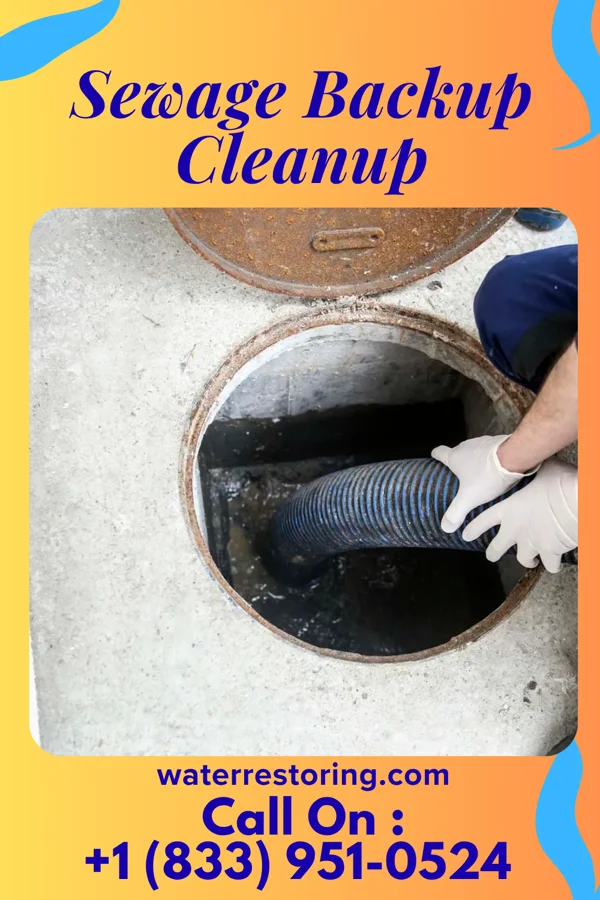 Sewage Backup Cleanup in Laurel Springs, NJ