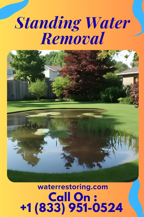 Standing Water Removal in Laurel Springs, NJ